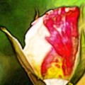 Colored Pencil FAA 01